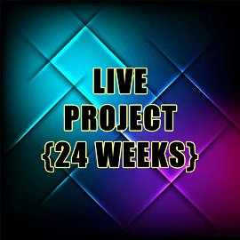Proitce_Live Project 24 weeks